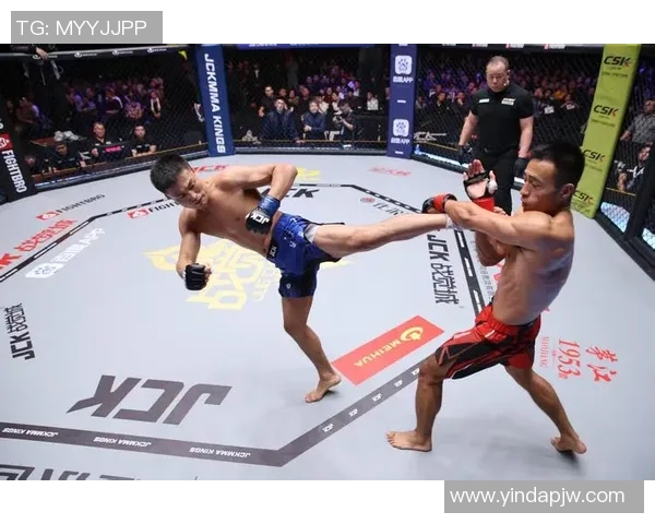 龙达罗西与霍尔姆巅峰对决谁将赢得女子综合格斗冠军荣耀